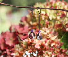 Purple&Pink Hook Earrings